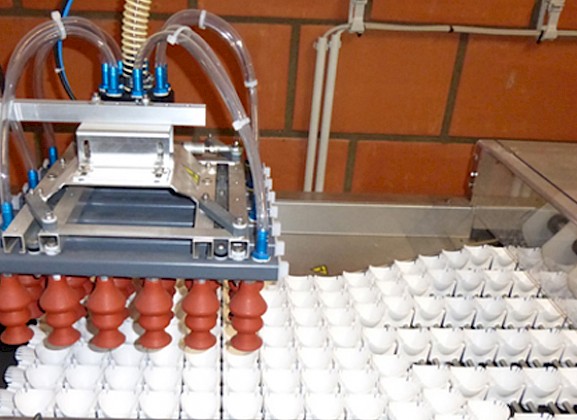 Sortieranlage für befruchtete Eier aus der Elterntierfarm für den Weitertransport zur Brüterei