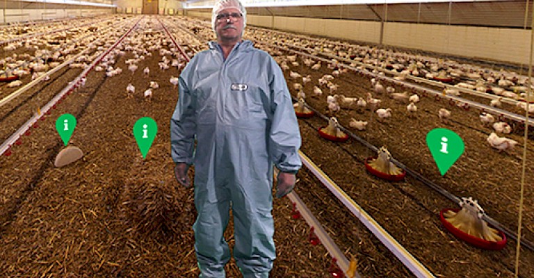 Privathof Landwirt Schemmer gibt einen virtuellen Einblick in moderne Geflügelaufzucht.